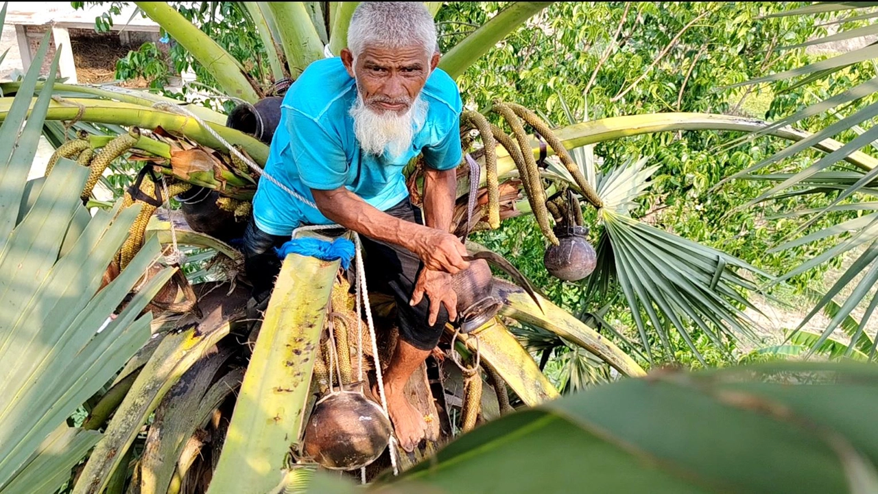 গাছের মাথায় জীবিকা, সাখাওয়াত এখনো অদম্য