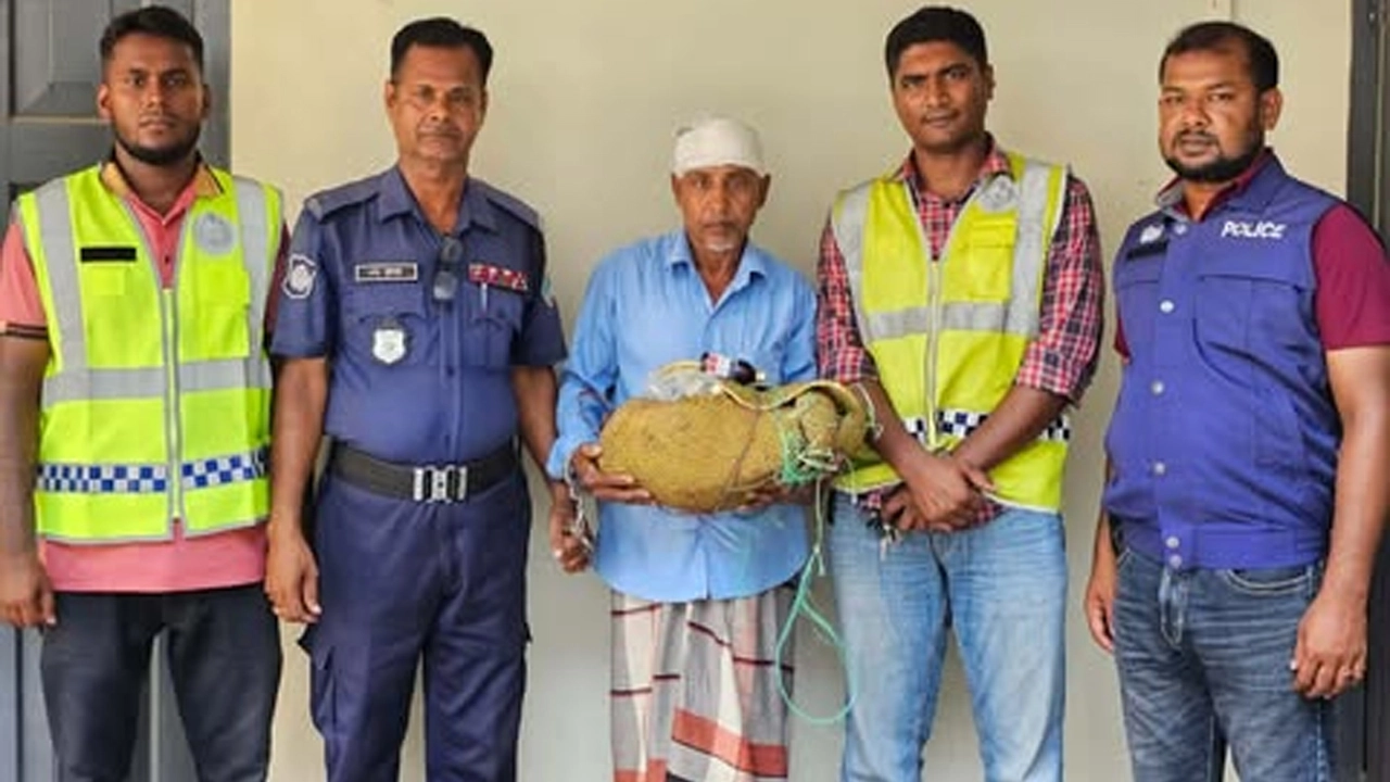 যশোরে কাঠালের ভেতর থেকে উদ্ধার হলো ৪০ পিস উইনসেরেক্স, আটক ১