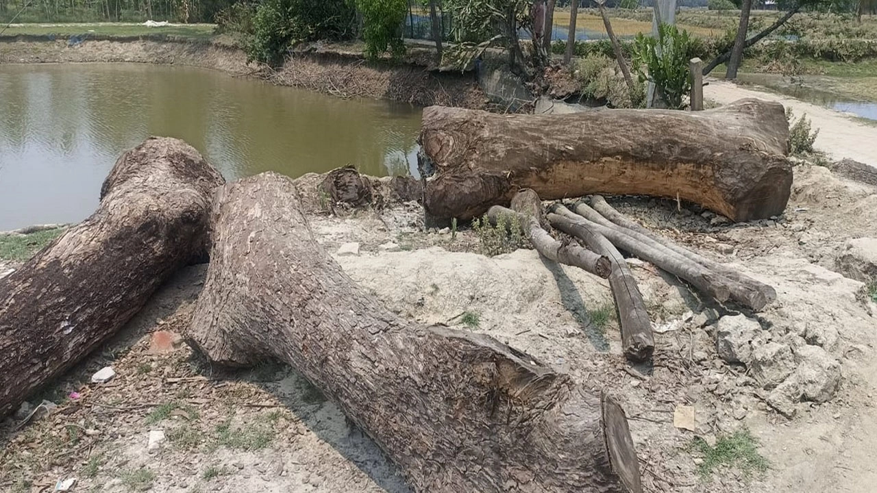 ছবি-প্রতিনিধি