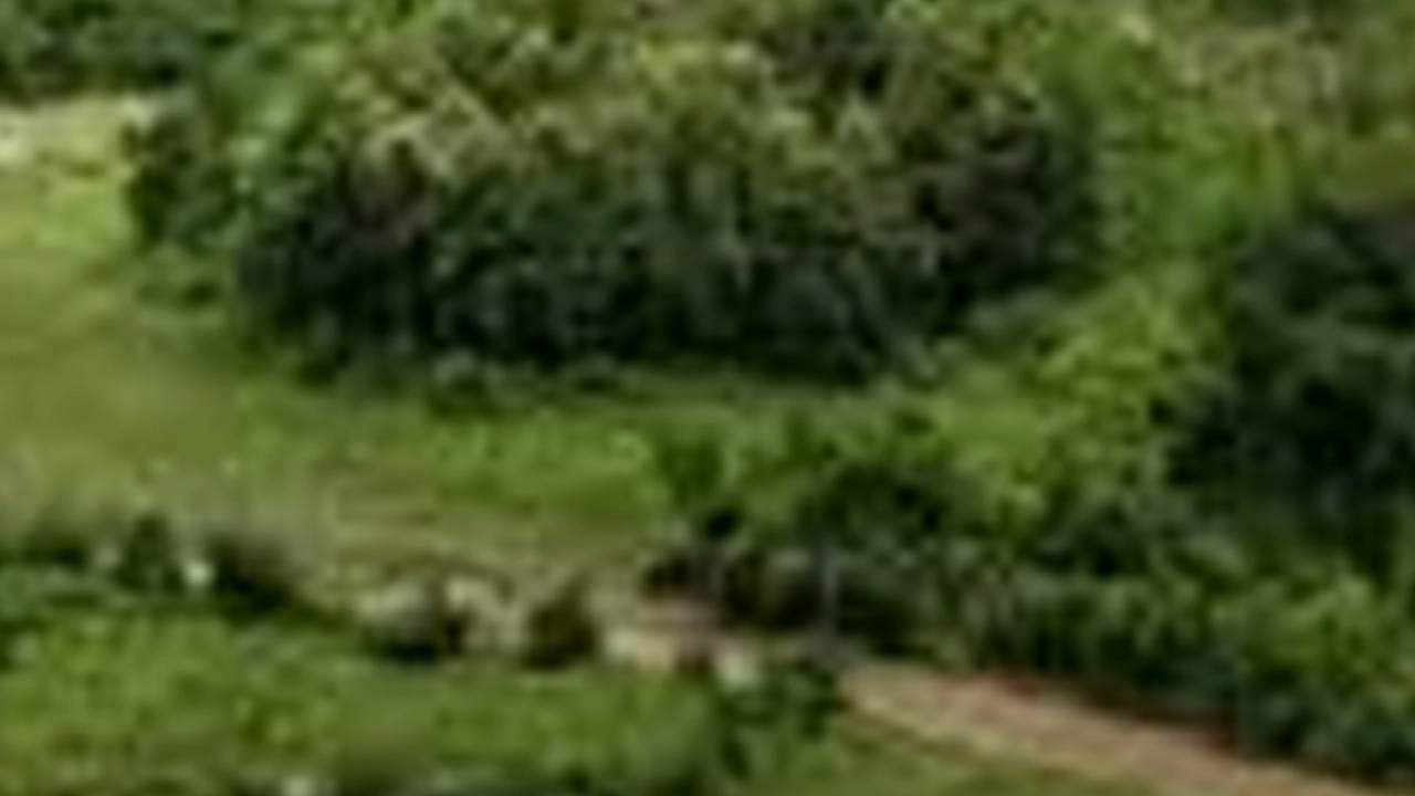 বান্দরবানে ৬ রাবার শ্রমিক অপহরণ