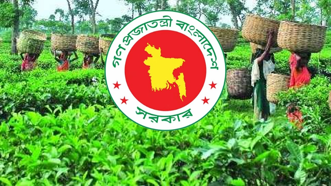 জাতীয় চা দিবসের তারিখ পরিবর্তন