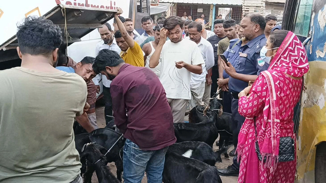 বাসের লাগেজ বক্সে ছাগল বহন!