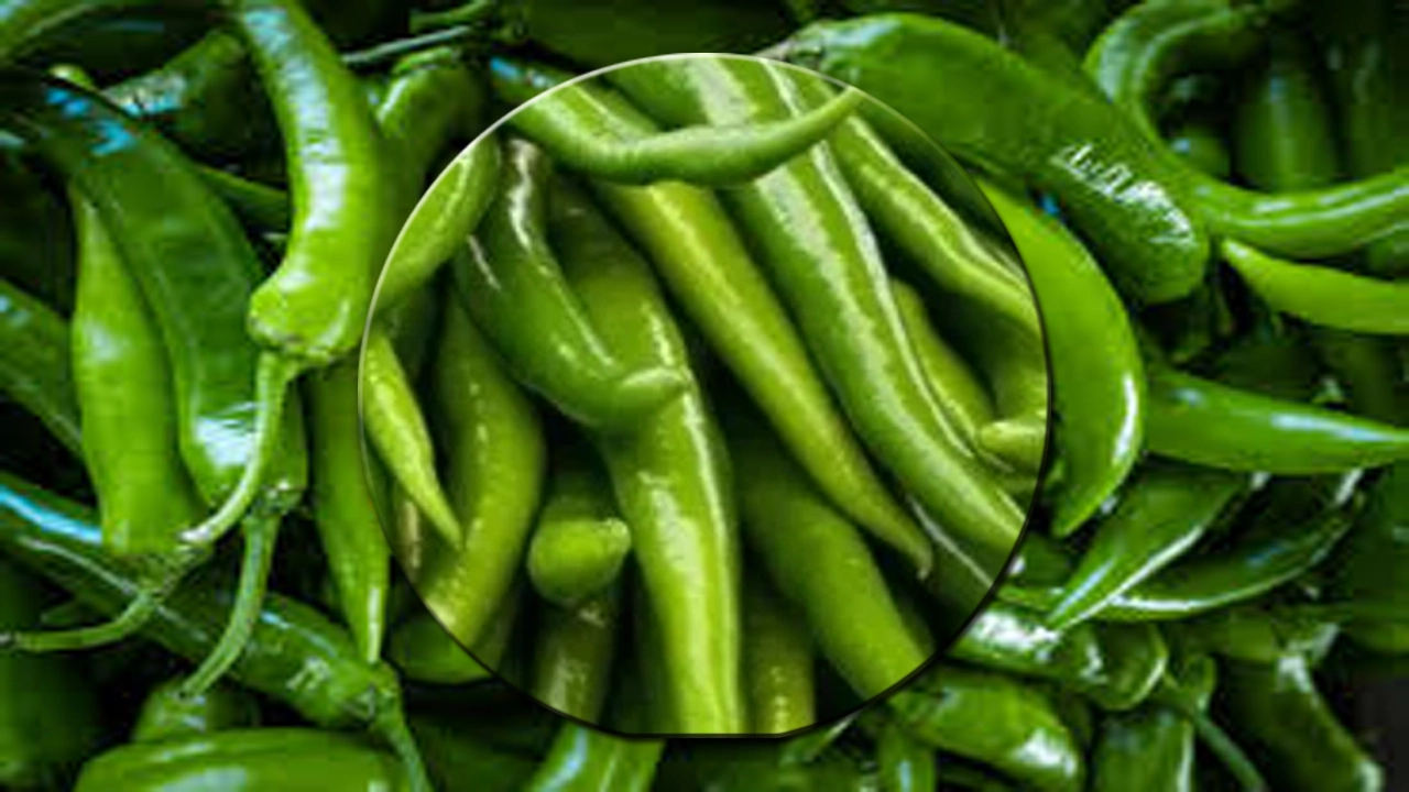 কাঁচা মরিচের উপকারিতা