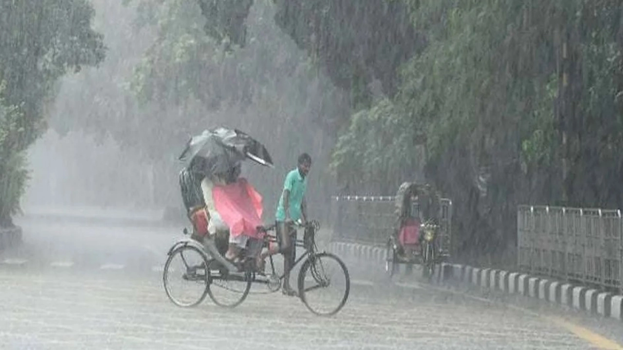 ছবি: ইন্টারনেট থেকে সংগৃহীত