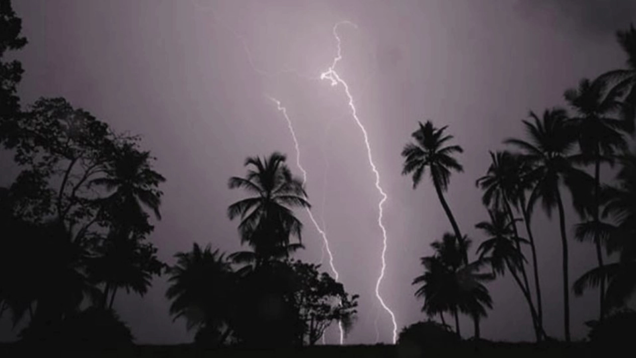 ছবি: ইন্টারনেট থেকে সংগৃহীত