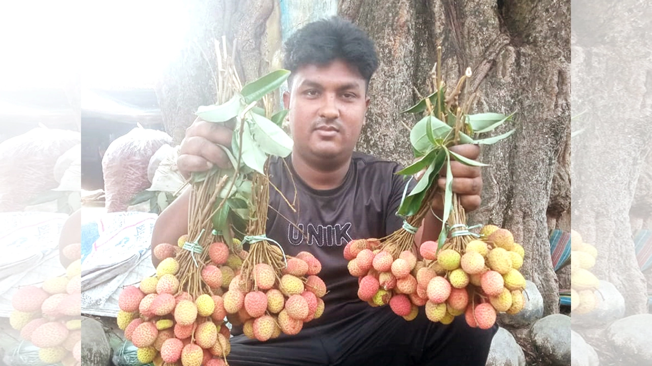 গ্রীষ্মের রসাল লিচুর মিষ্টি ঘ্রাণ