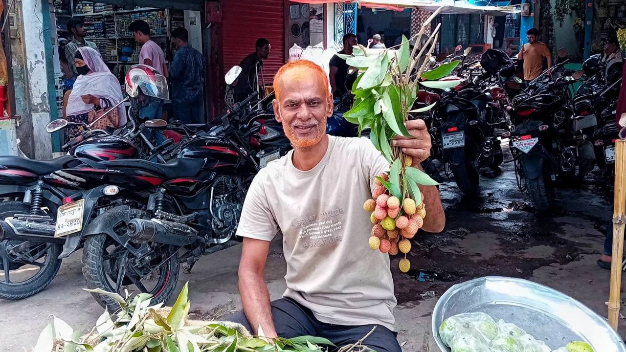 আগাম লাভের আশায় অপরিপক্ব লিচু বাজারে