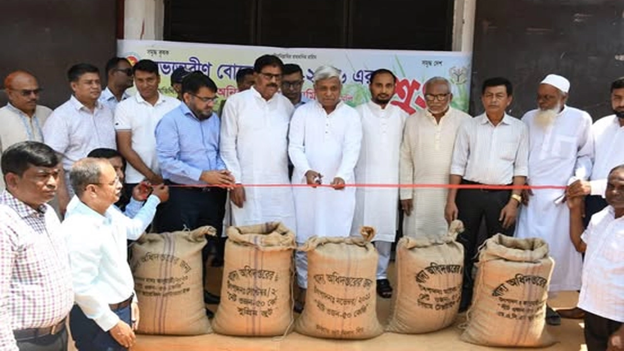 যশোরে বোরো ধান সংগ্রহ শুরু, কৃষকদের জন্য শস্য বীমা চালুর ঘোষণা প্রতিমন্ত্রীর