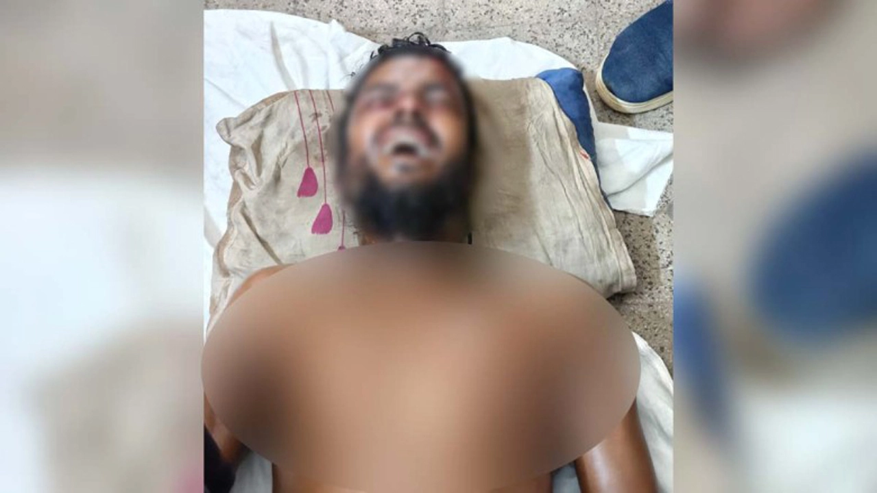 ছবি: সংগৃহীত।