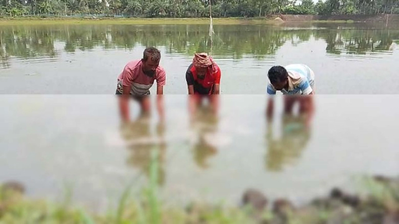 ছবি: সংগৃহীত।
