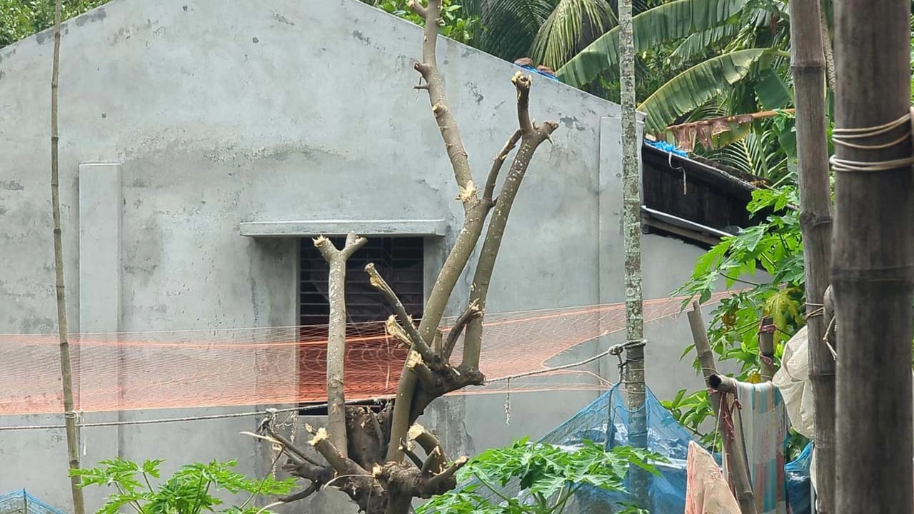 পুকুরপাড়ের ঢাল কাটা নিয়ে মোংলায় লঙ্কা কাণ্ড! 