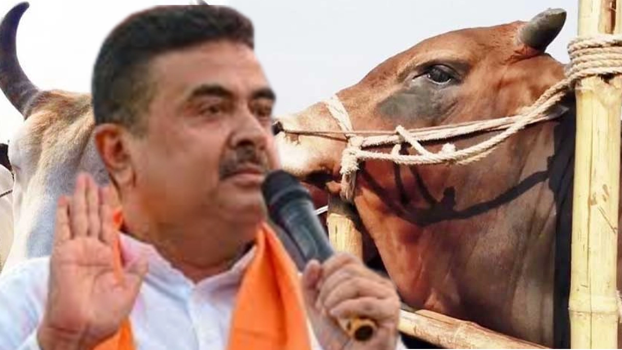 পশ্চিমবঙ্গে কোরবানির গরু কেনায় ভাটা, বিপাকে হিন্দু খামারিরা