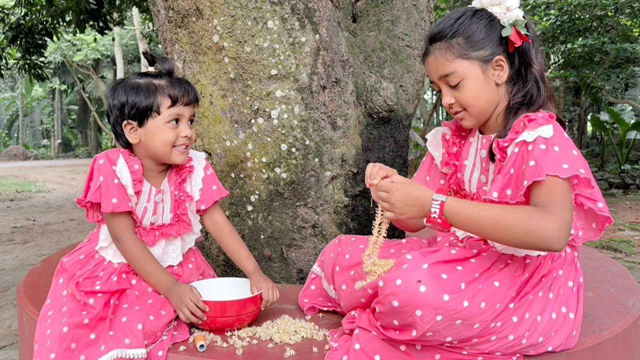মাগুরার মহম্মদপুর উপজেলার ধোয়াইল গ্রামে দুই বোন ফারহানা রাফসা ও ফারজানা রাইসা ফুলের মালা গাঁথছে। ছবি : এস আর এ হান্নান