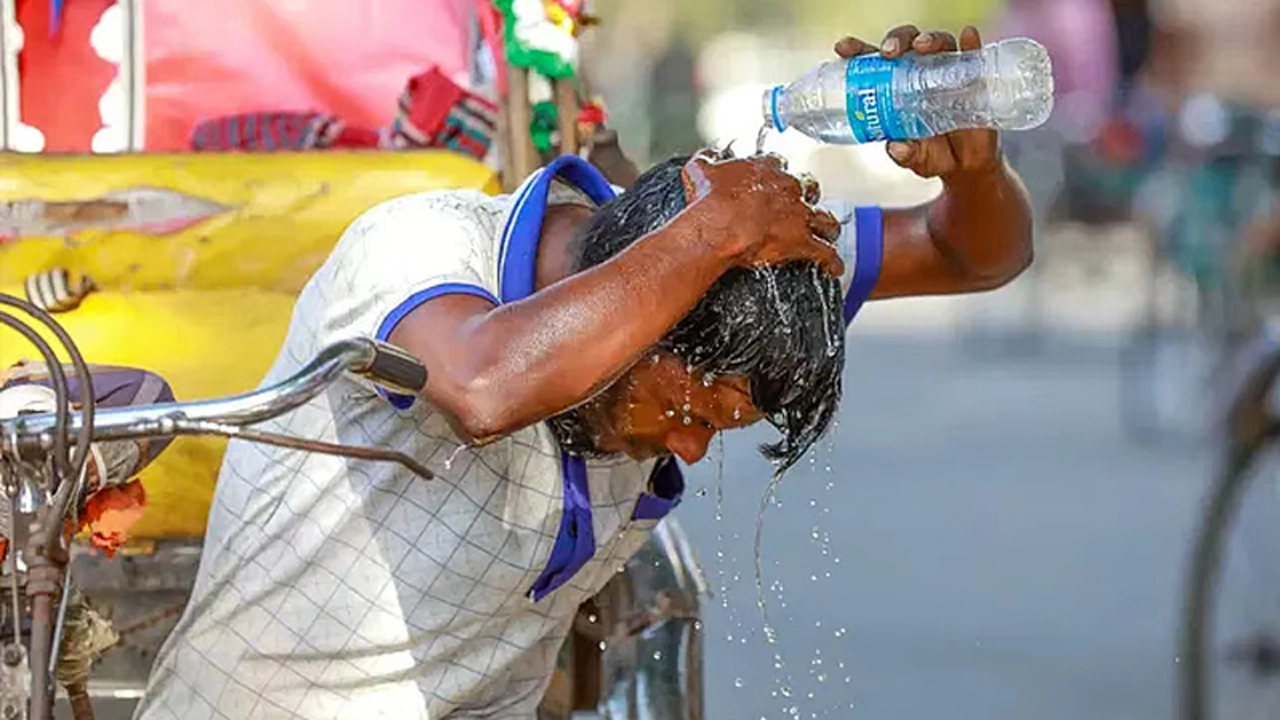 ছবি: সংগৃহীত।