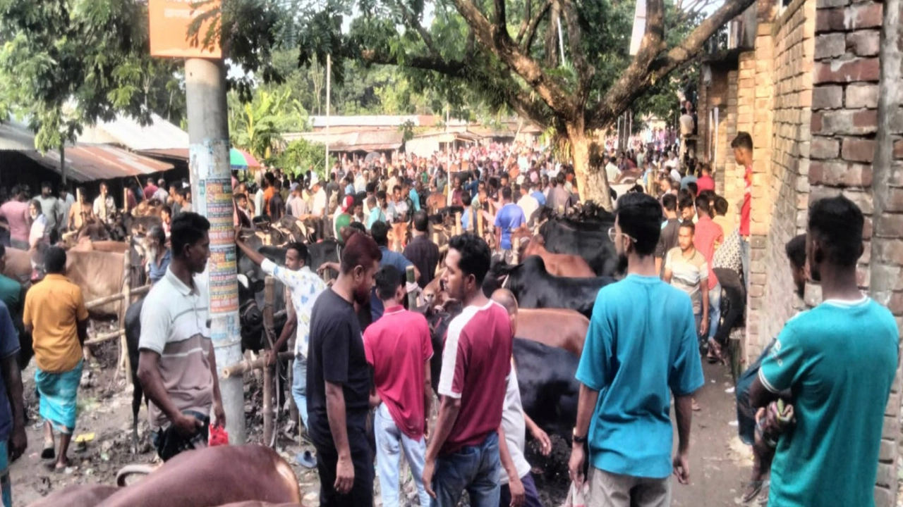 ছবি: প্রতিনিধি