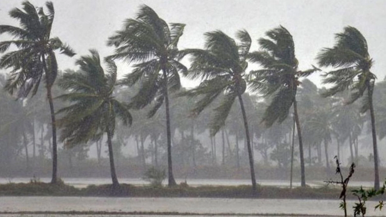 ছবি: সংগৃহীত।