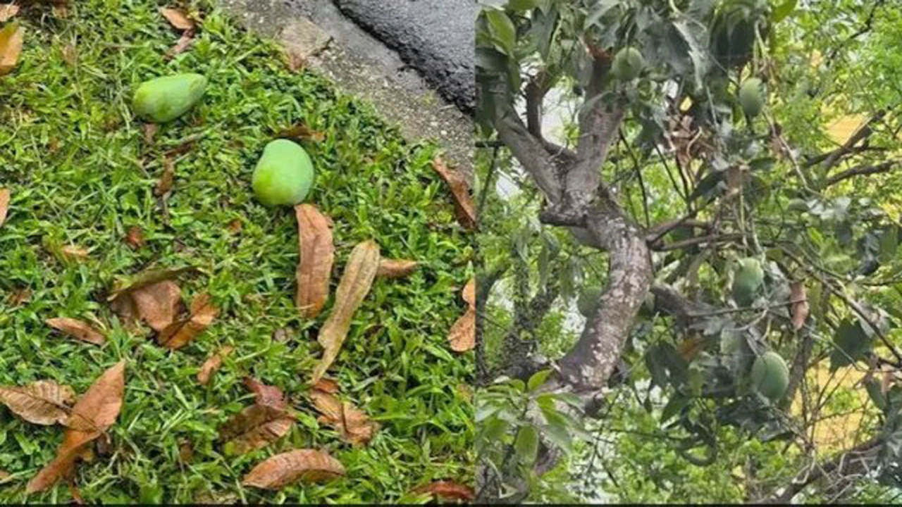 ছবি: ইন্টারনেট থেকে সংগৃহীত