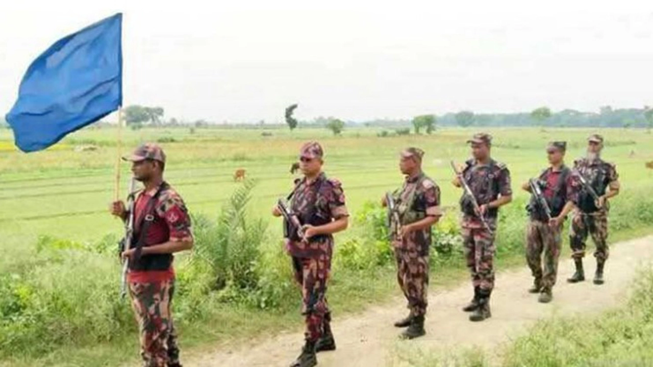ছবি: সংগৃহীত।
