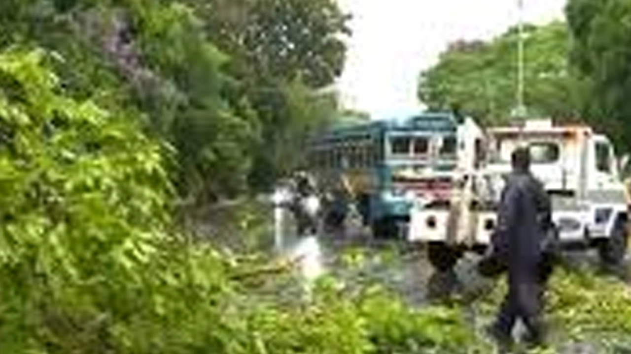 কালবৈশাখী ঝড়ে পশ্চিমবঙ্গে নিহত ৮