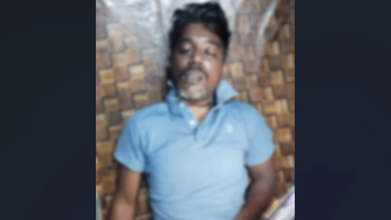 ছবি: সংগৃহীত।