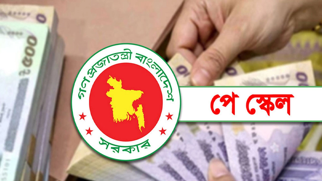 ছবি: সংগৃহীত।