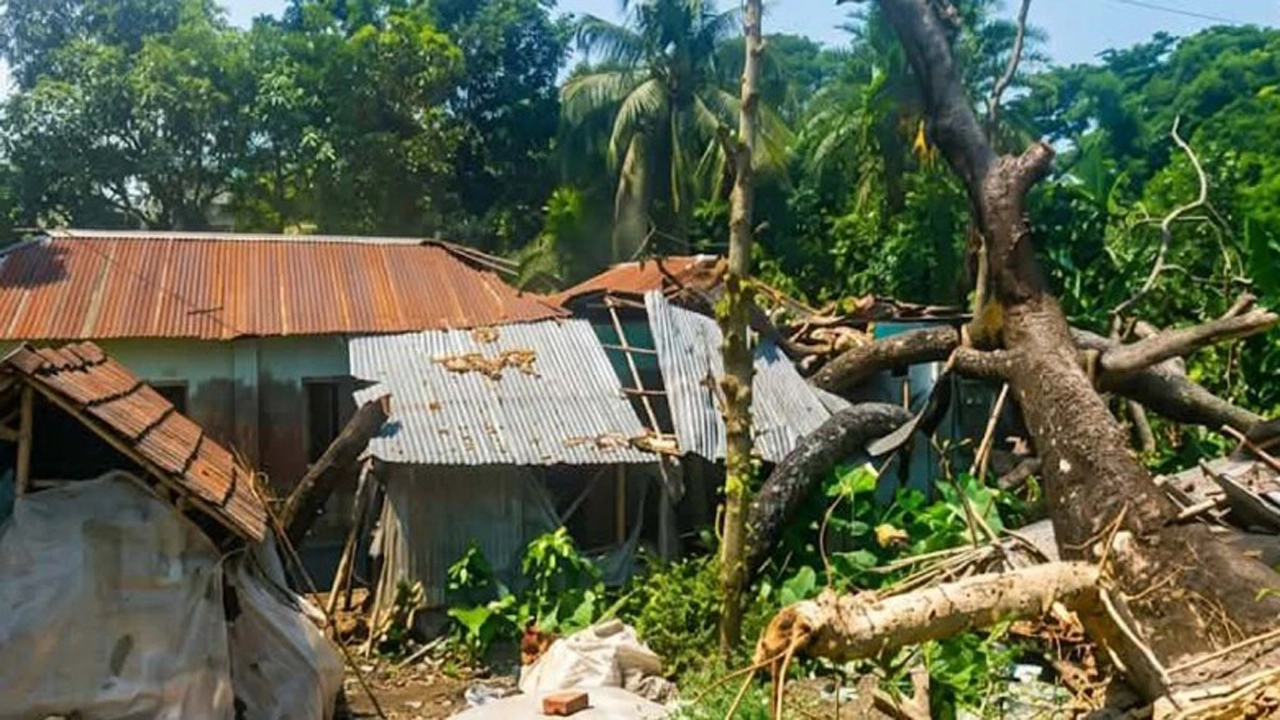 ছবি: সংগৃহীত।