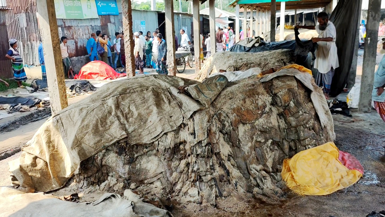 ছবি: সংগৃহীত।