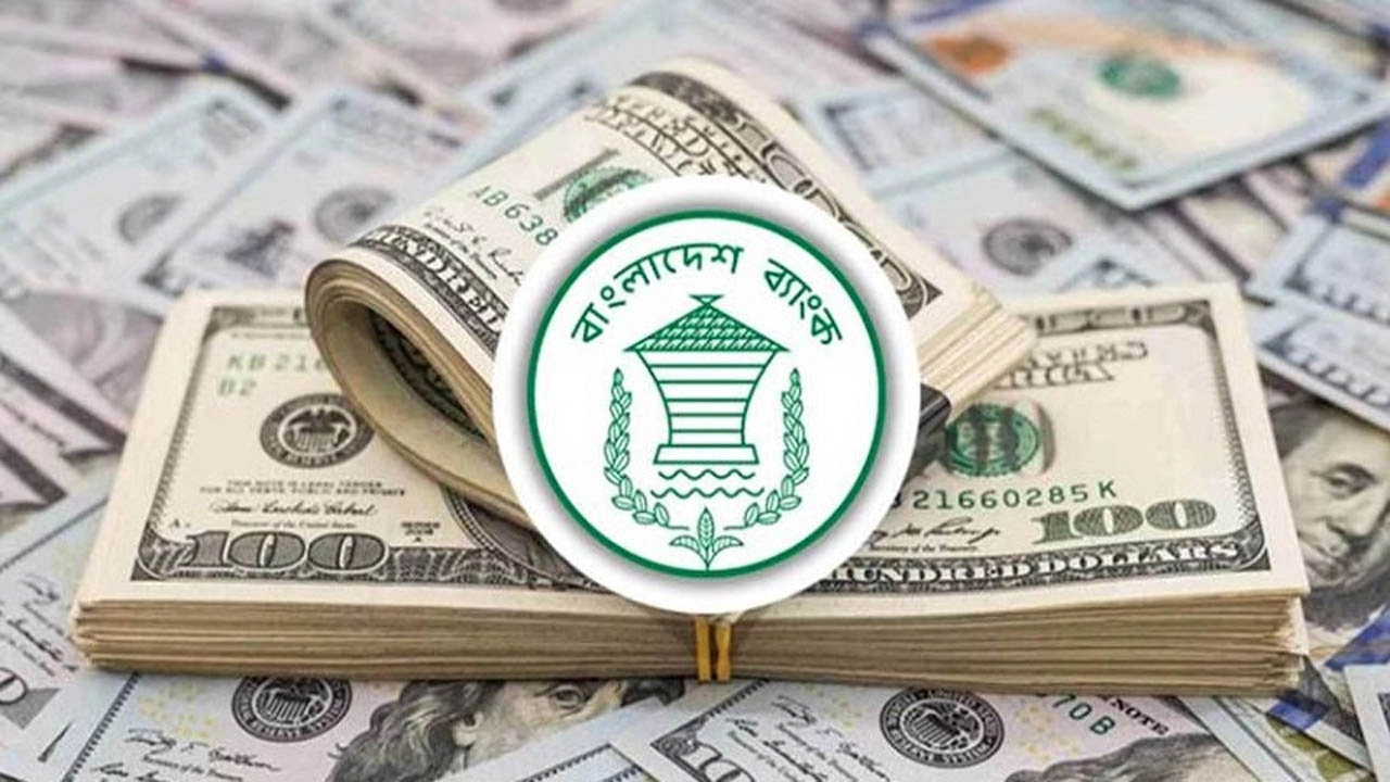 ছবি: ইন্টারনেট থেকে সংগৃহীত
