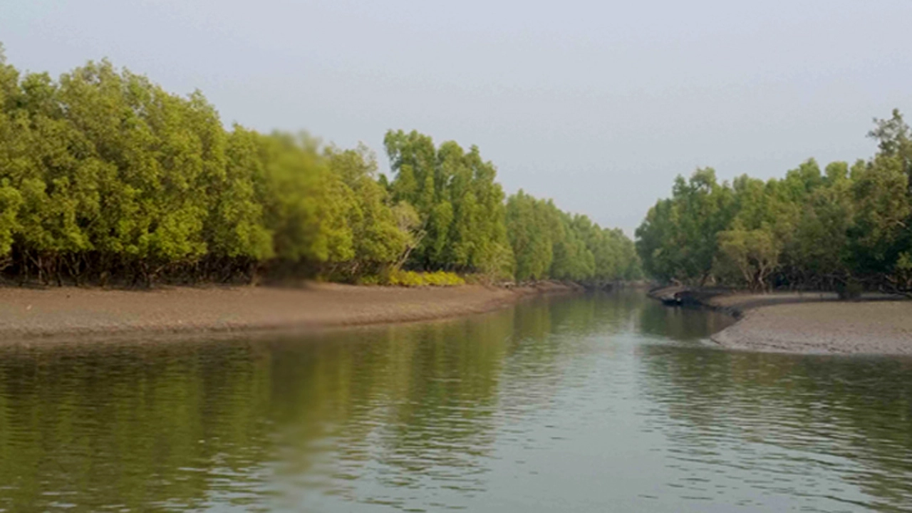 তিন মাসের জন্য বন্ধ হচ্ছে সুন্দরবনের দুয়ার