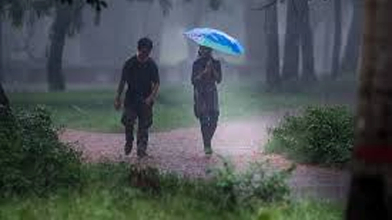 বর্ষাকালে ভ্রমণে সুস্থ থাকতে করণীয়