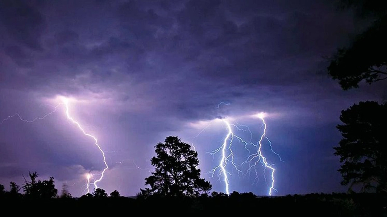 ছবি: ইন্টারনেট থেকে সংগৃহীত