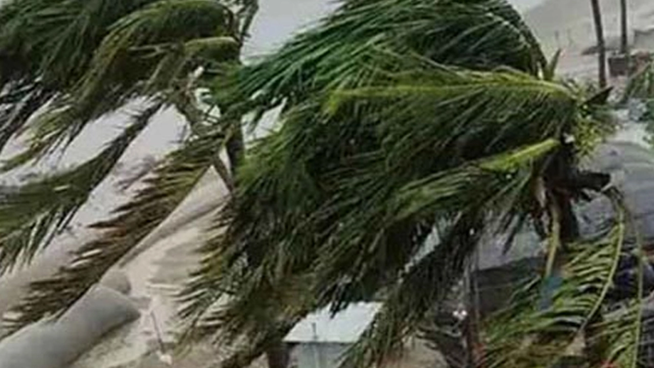 দুপুরের মধ্যে ১২ জেলায় ঝড়-বৃষ্টির পূর্বাভাস