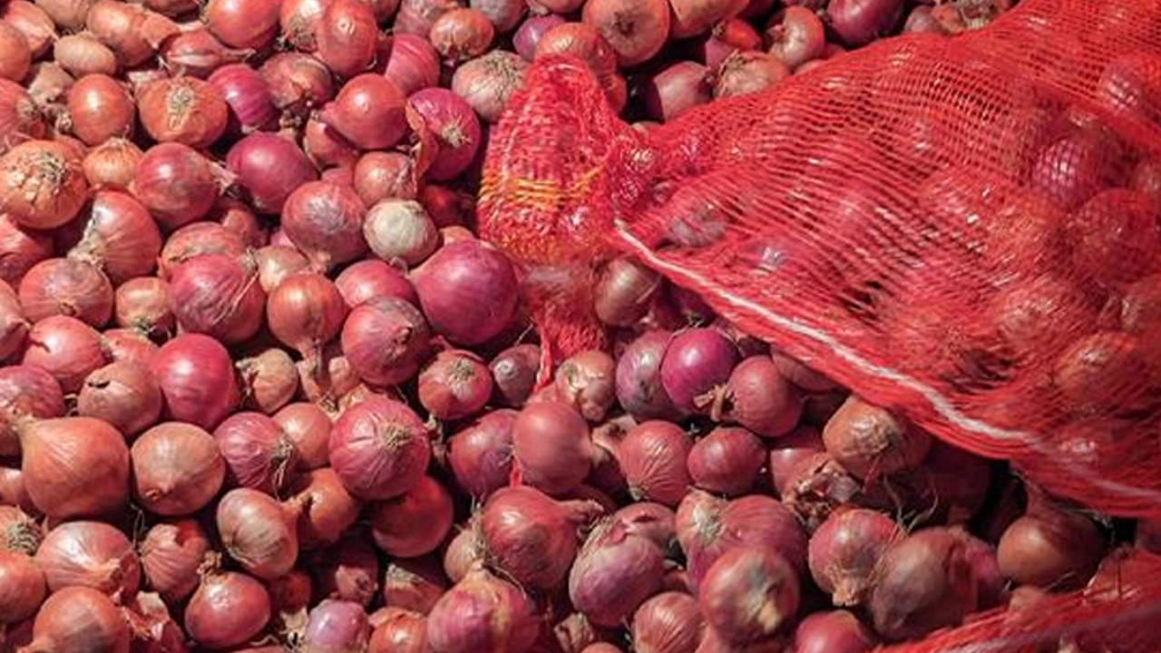 কমলো পেঁয়াজের দাম