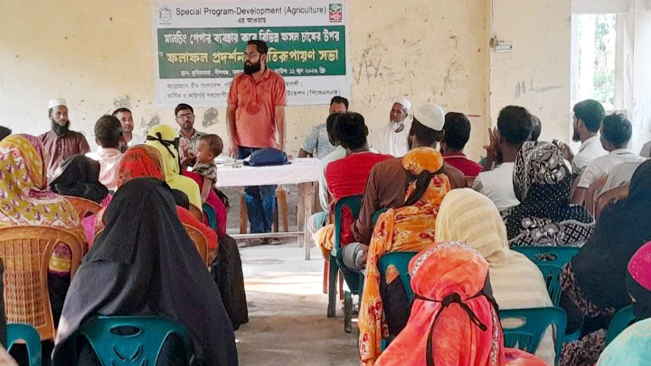 কলাপাড়ায় মালচিং পেপার ব্যবহারে কৃষকরা লাভবান হচ্ছে