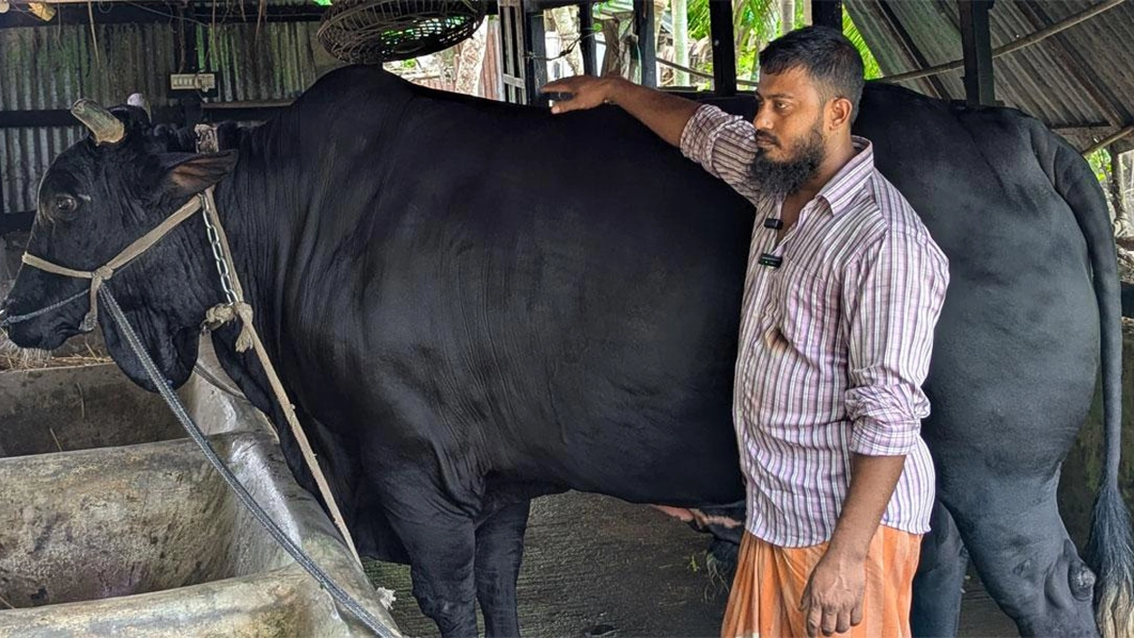 খালেদা জিয়াকে ‘কালো মানিক’ উপহার দিতে চাওয়া সেই সোহাগ গ্রেপ্তার
