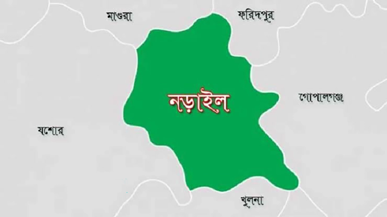 নানাবাড়িতে বেড়াতে এসে শিশুর মৃত্যু