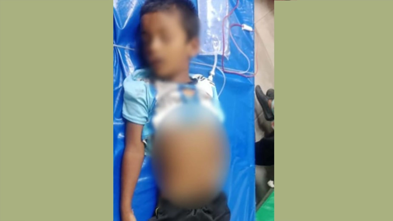 কালীগঞ্জে ভ্যানের ধাক্কায় শিশুর মৃত্যু