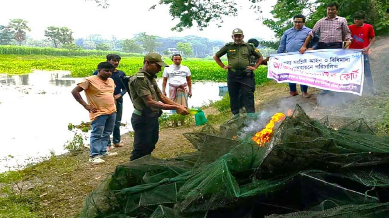 ছবি: প্রতিনিধি।