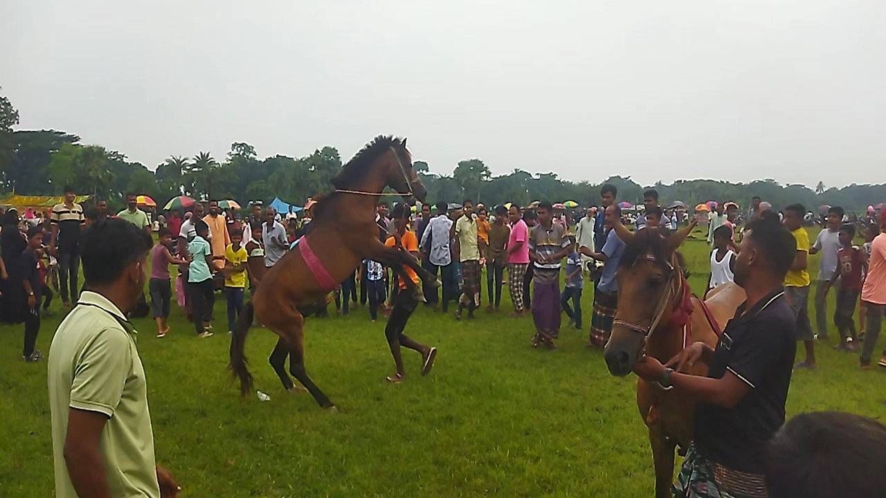 ছবি: প্রতিনিধি