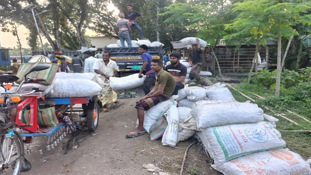 শার্শার কচুর হাটে বদলাচ্ছে কৃষকের ভাগ্য
