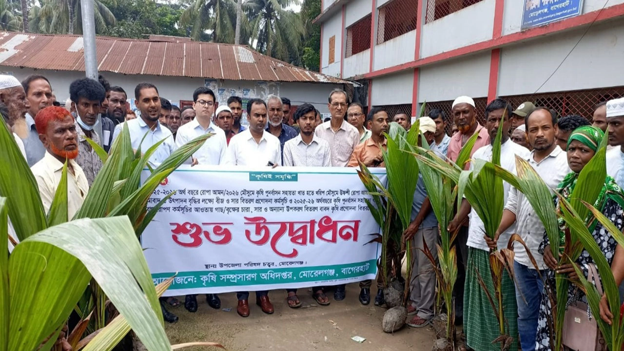 মোরেলগঞ্জে ক্ষুদ্র ও প্রান্তিক কৃষকদের মাঝে নারিকেল চারা ও কৃষি প্রণোদনা বিতরণ