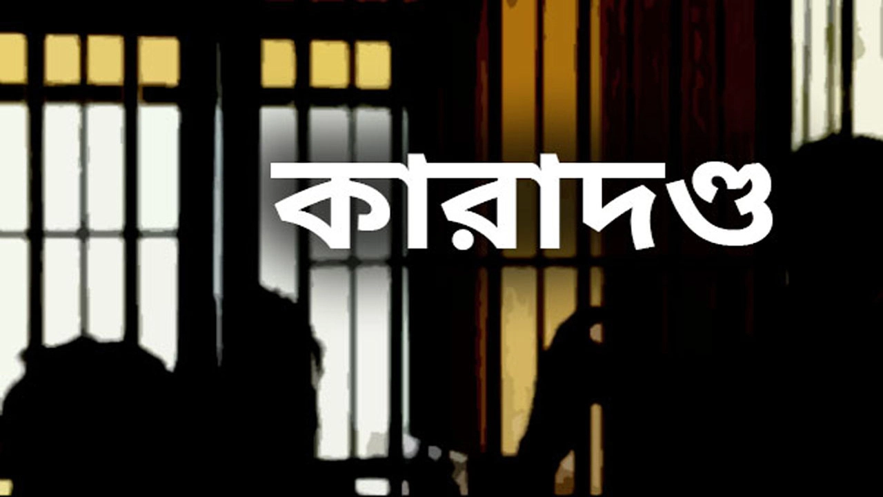 যশোরে প্রতারণা মামলায় দুইজনের কারাদণ্ড