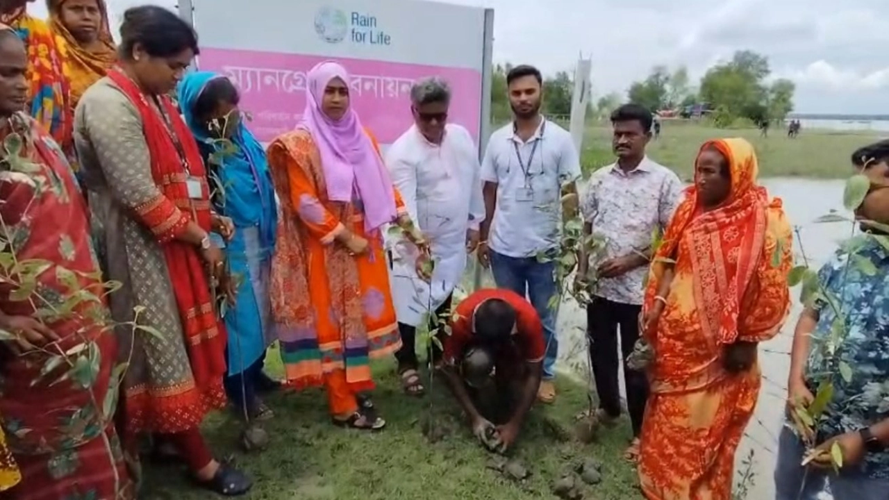 মোংলায় ম্যানগ্রোভ বনায়ন শুরু, রোপণ হবে ৩৫ হাজার চারা