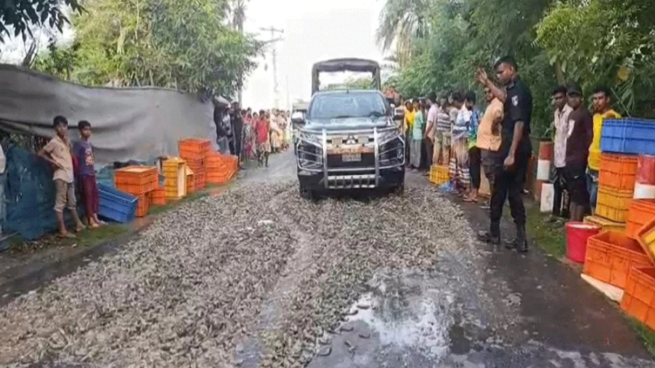 আশাশুনিতে ১৪ লাখ টাকার অপদ্রব্যযুক্ত বাগদা চিংড়ি জব্দ, দুই ব্যবসায়ীর পলায়ন