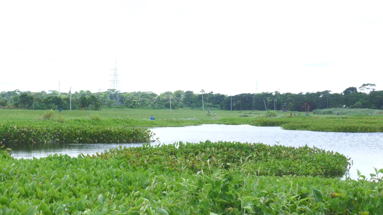 মাদারীপুরে আধুনিক ডাম্পিং স্টেশন নির্মাণে দীর্ঘদিনের জটিলতার অবসান