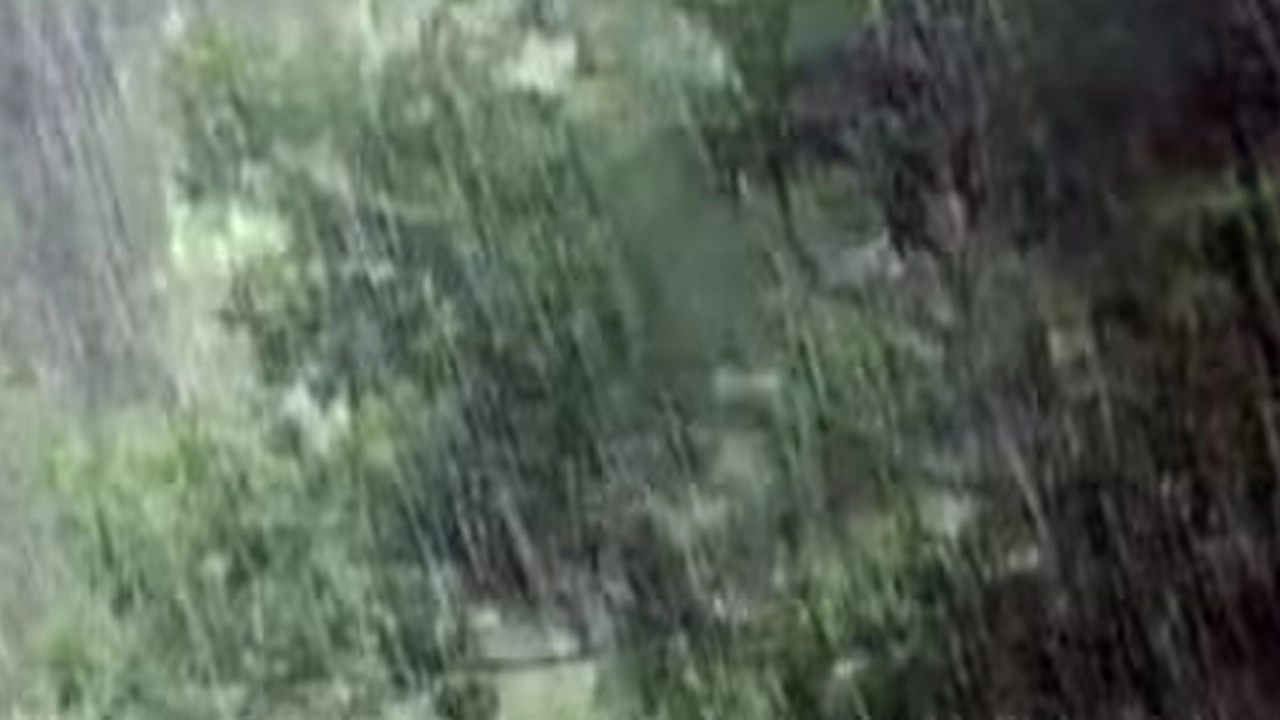 যশোরসহ ১৯ জেলায় ঝড়-বৃষ্টির পূর্বাভাস