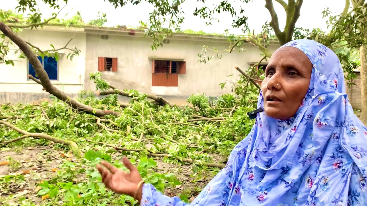 জমি বিরোধে ১০টি গাছ কাটার অভিযোগ