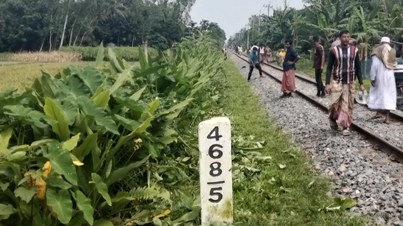 ছাগল বাঁচাতে গিয়ে ট্রেনের ধাক্কায় প্রাণ গেল গৃহবধূর