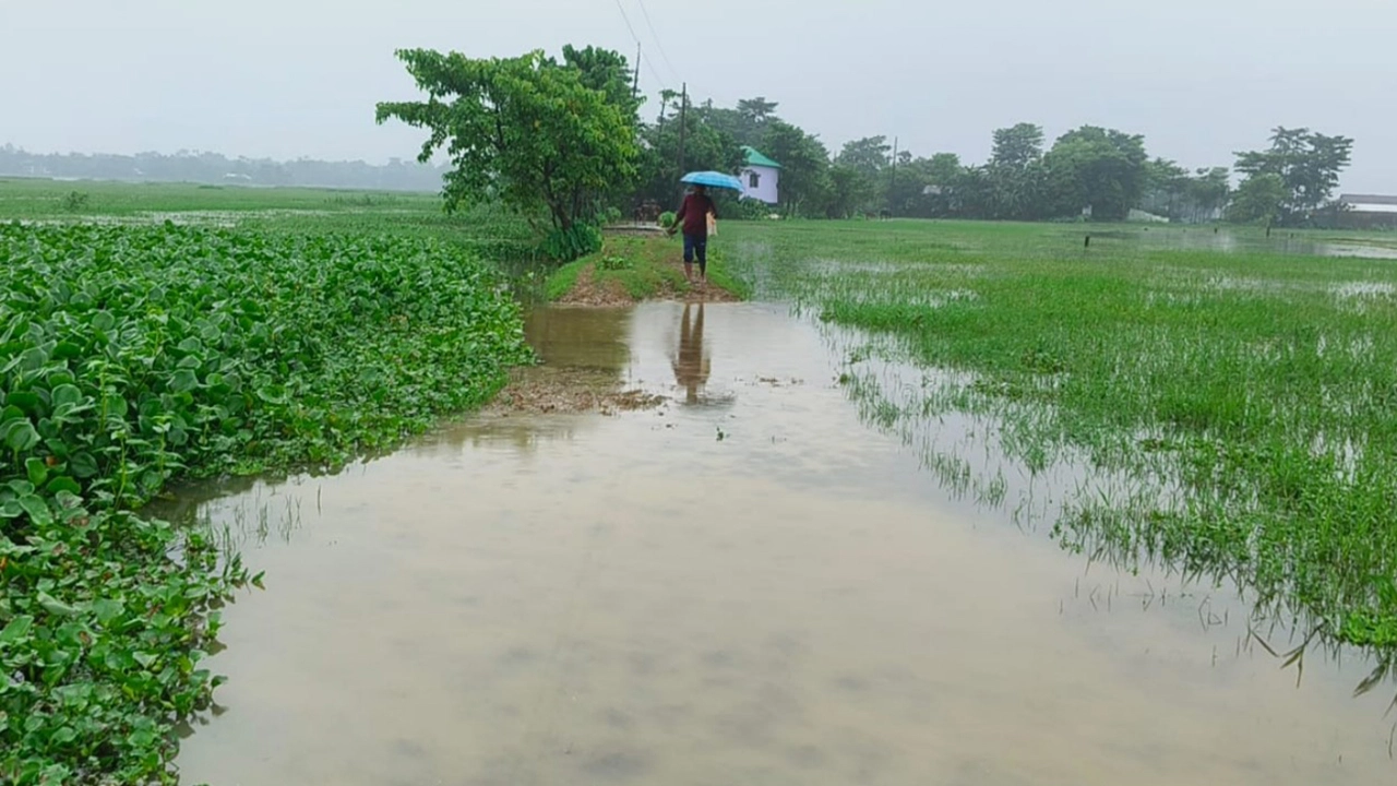সুনামগঞ্জে স্বল্পমেয়াদি বন্যার শঙ্কা, চার পৌরসভার কর্মকর্তা-কর্মচারীদের ছুটি বাতিল