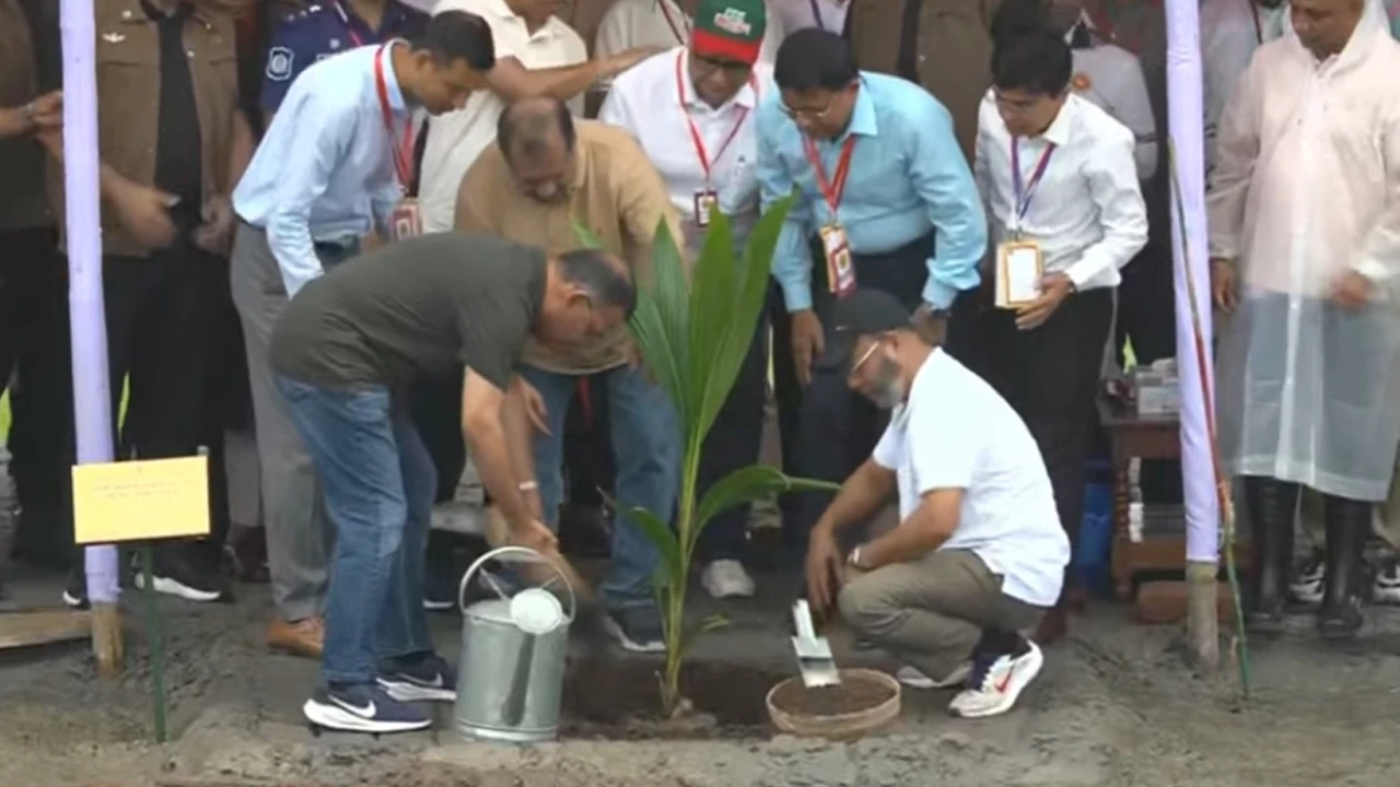 আগামী ৫ বছরে দেশে ২৫ কোটি গাছ লাগানো হবে : প্রধানমন্ত্রী